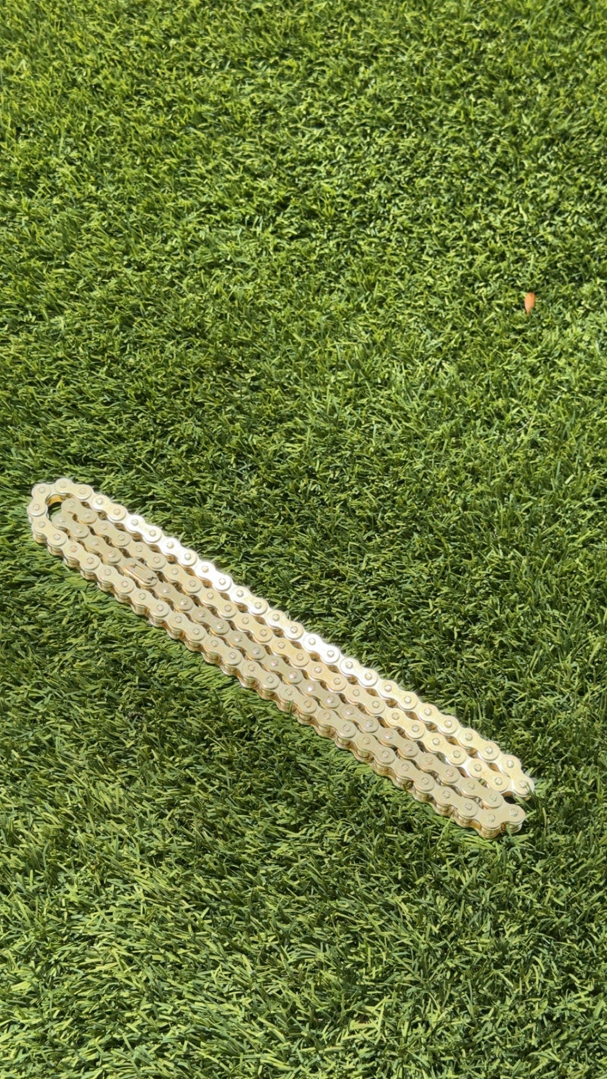 Upgraded Gold Tuttio Chain